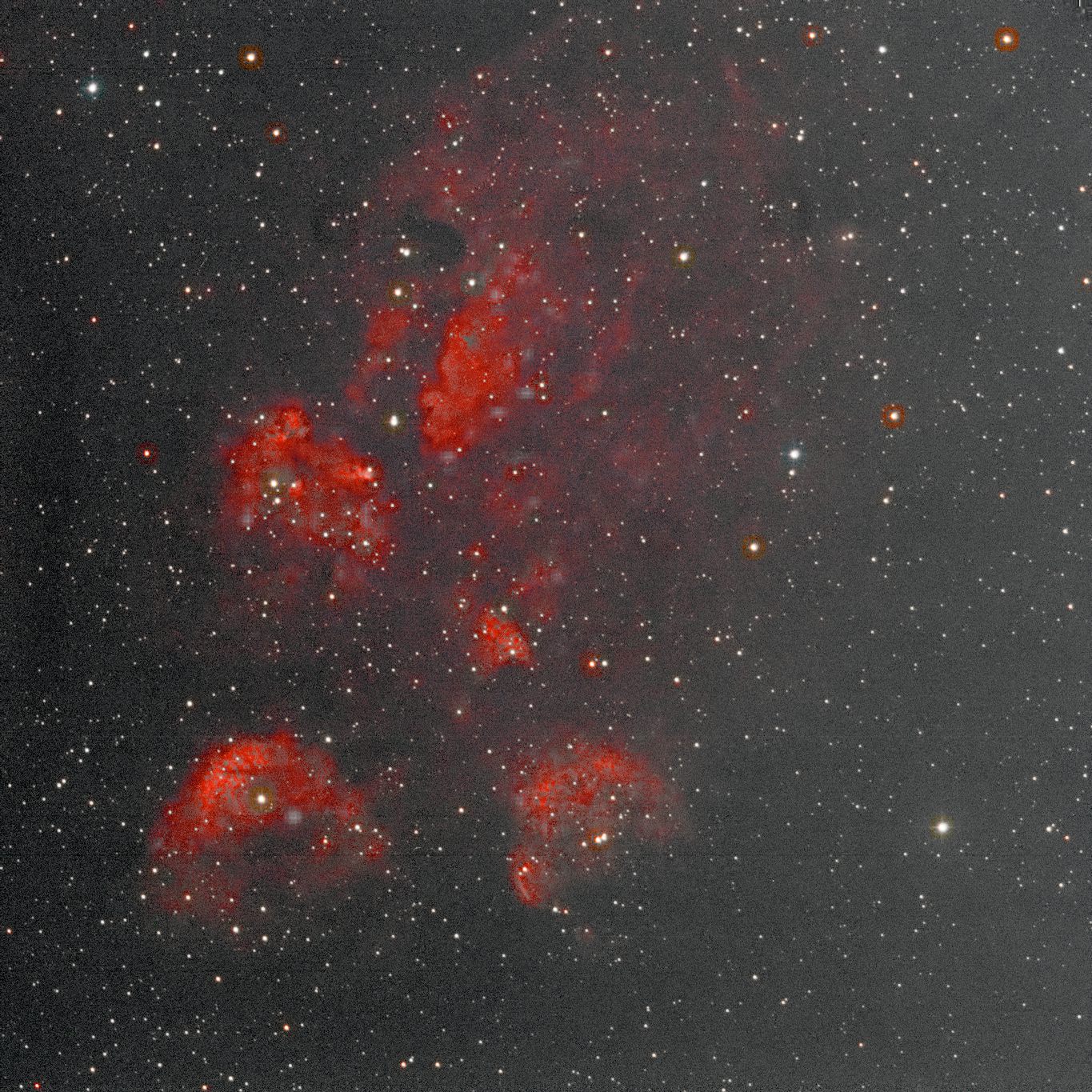 Cat's Paw Nebula